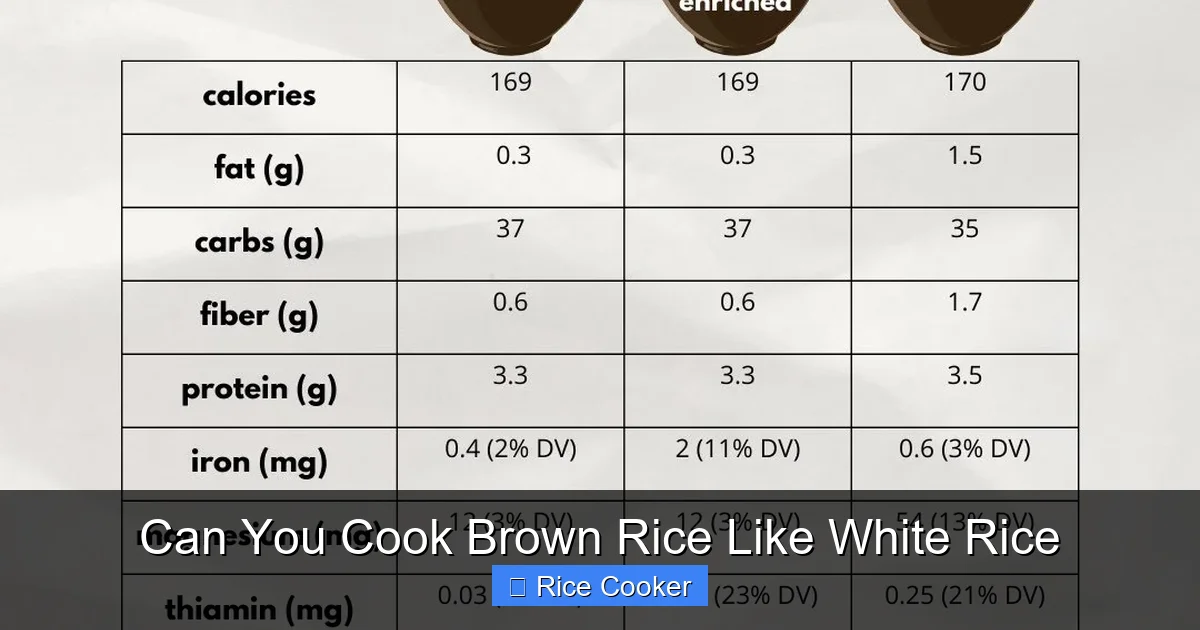 Can You Cook Brown Rice Like White Rice
