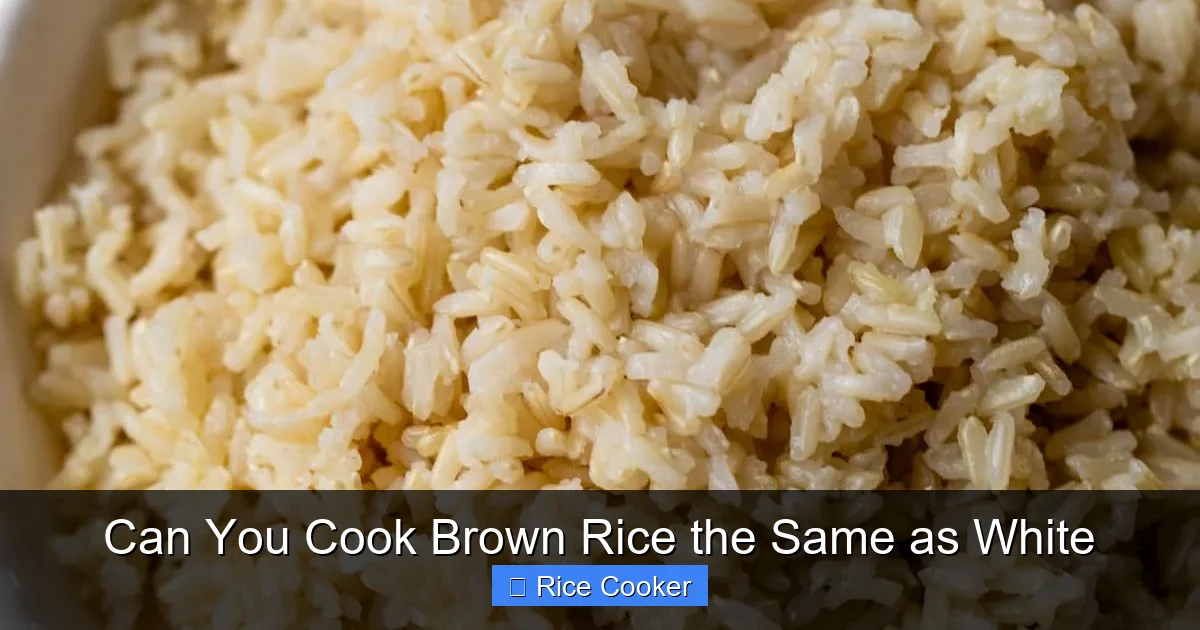 Can You Cook Brown Rice the Same as White