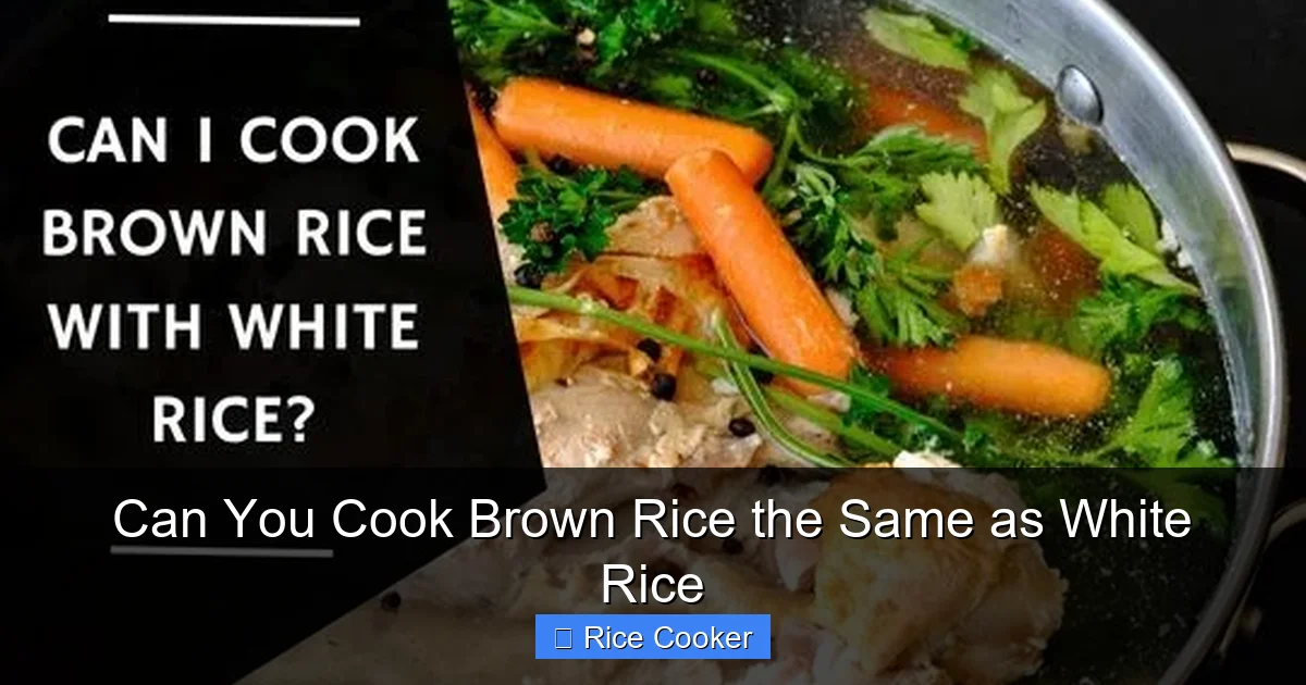 Can You Cook Brown Rice the Same as White Rice
