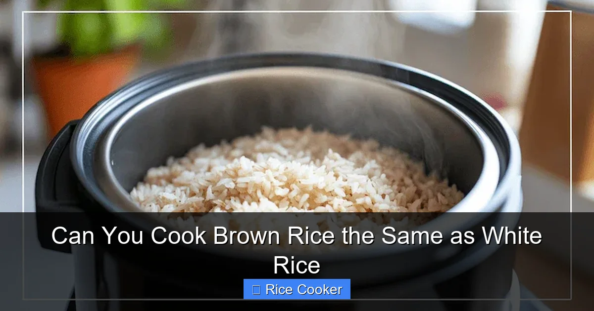Can You Cook Brown Rice the Same as White Rice