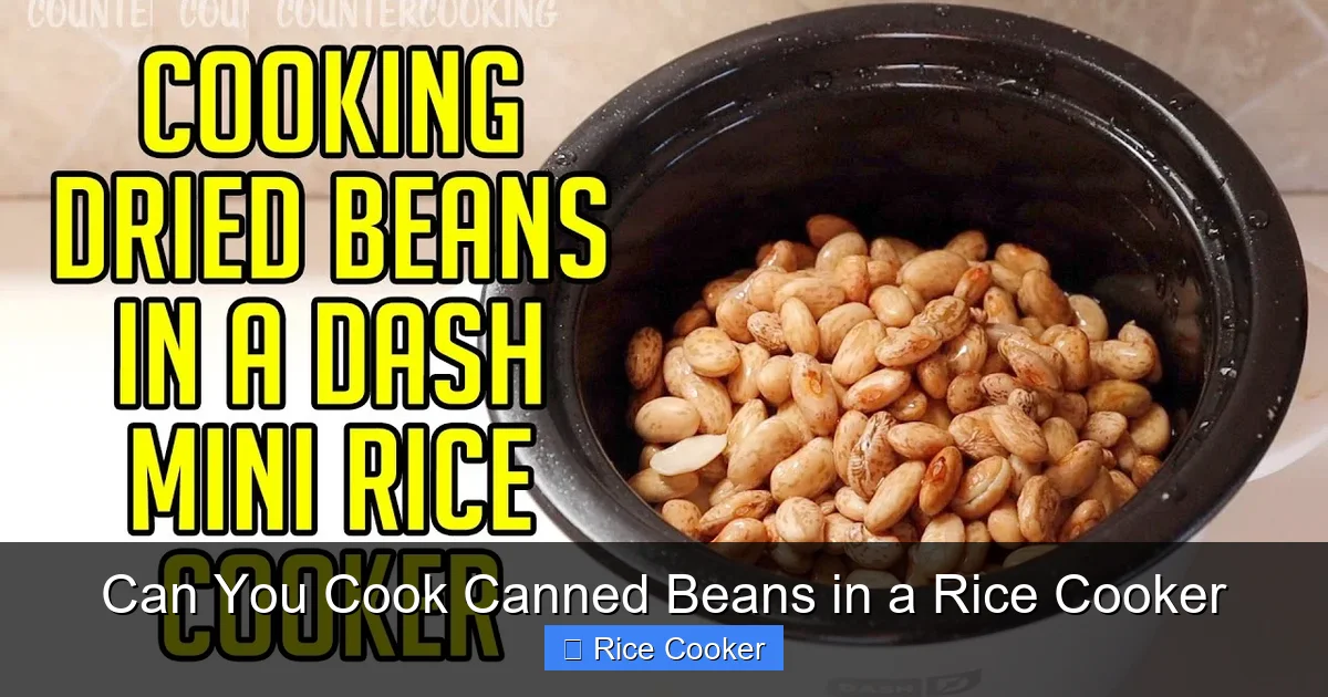Can You Cook Canned Beans in a Rice Cooker