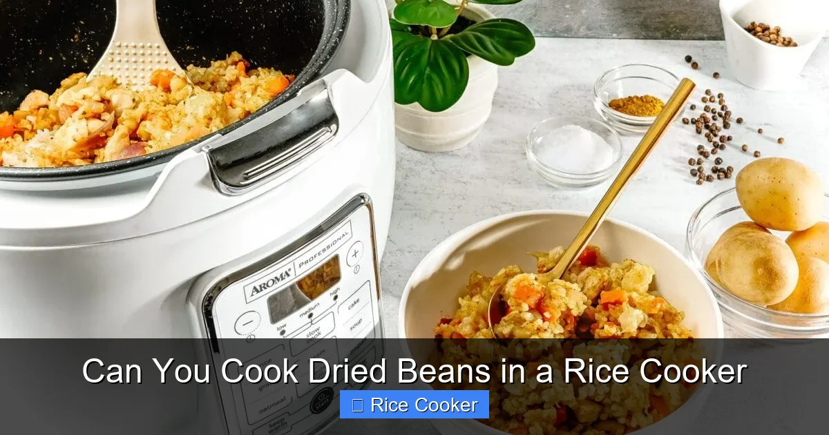 Can You Cook Dried Beans in a Rice Cooker