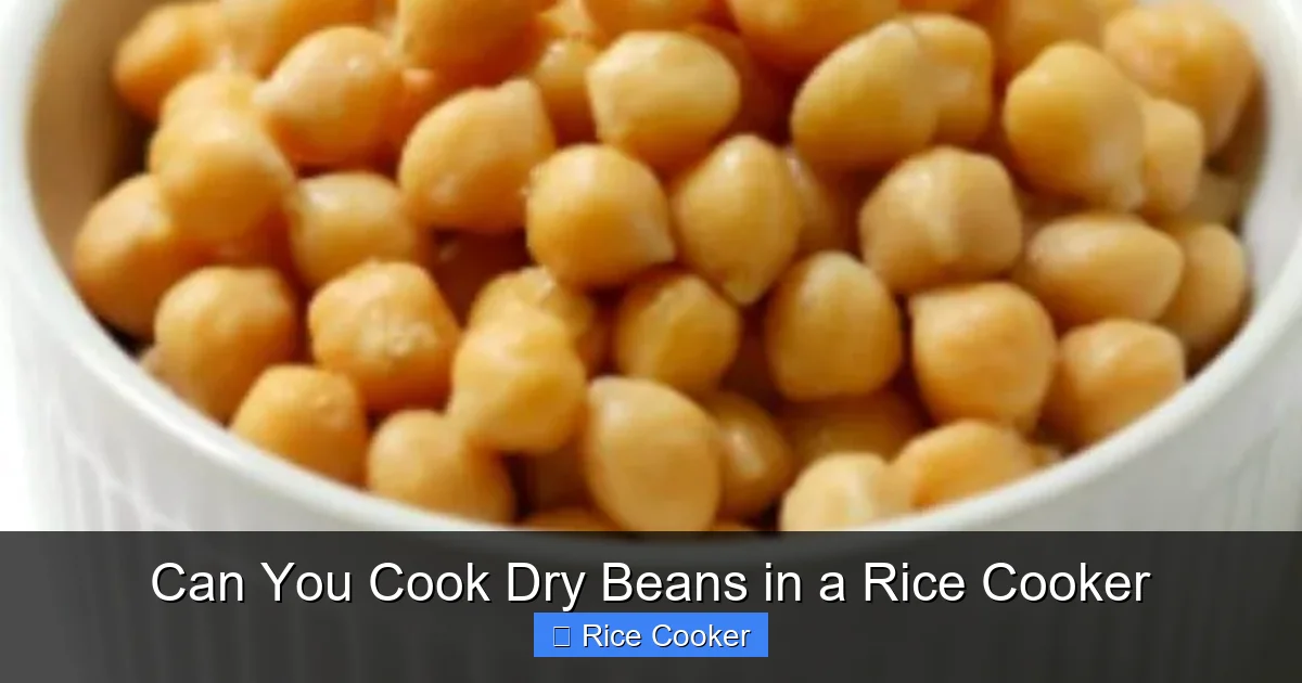 Can You Cook Dry Beans in a Rice Cooker