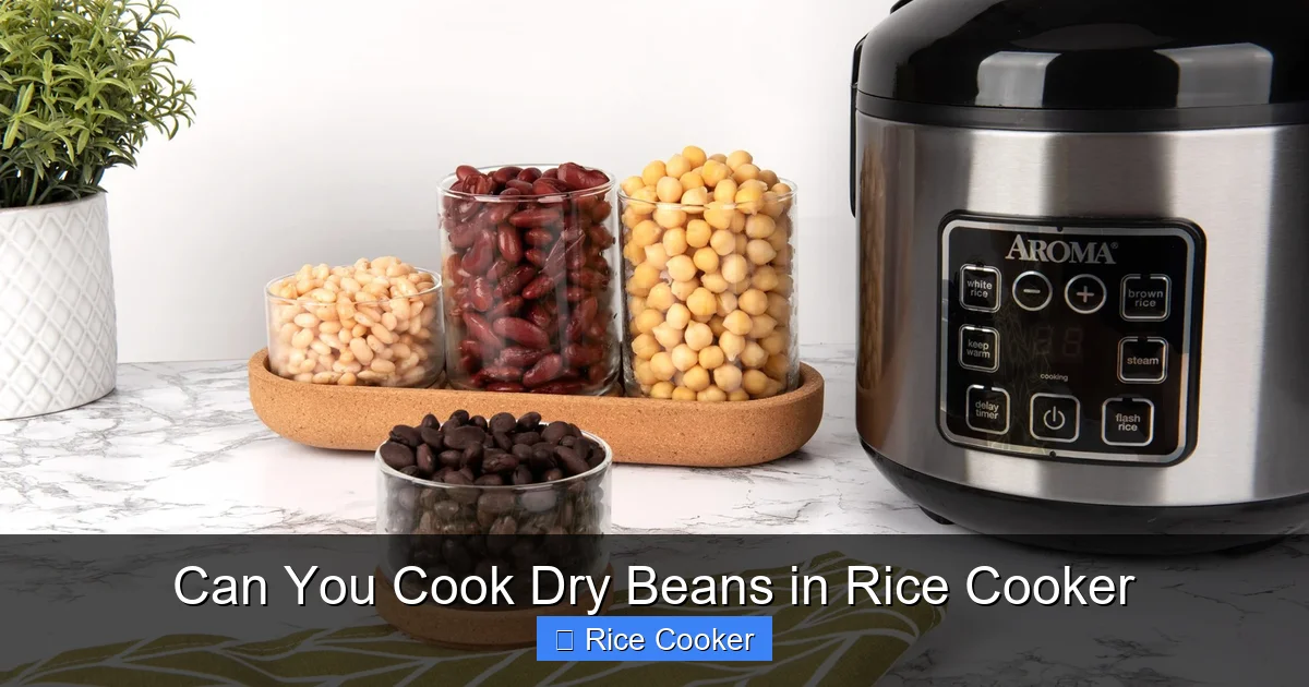 Can You Cook Dry Beans in Rice Cooker