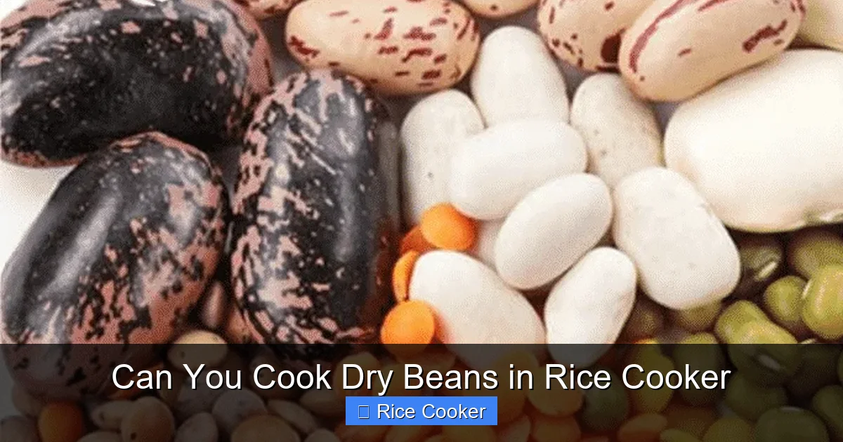 Can You Cook Dry Beans in Rice Cooker