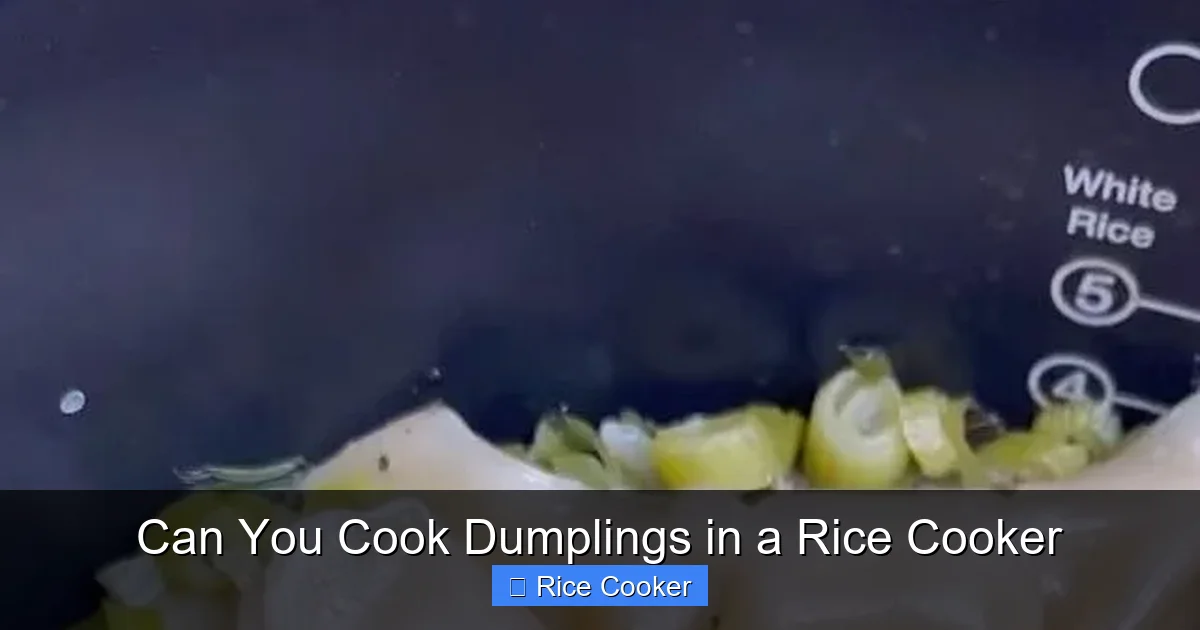 Can You Cook Dumplings in a Rice Cooker