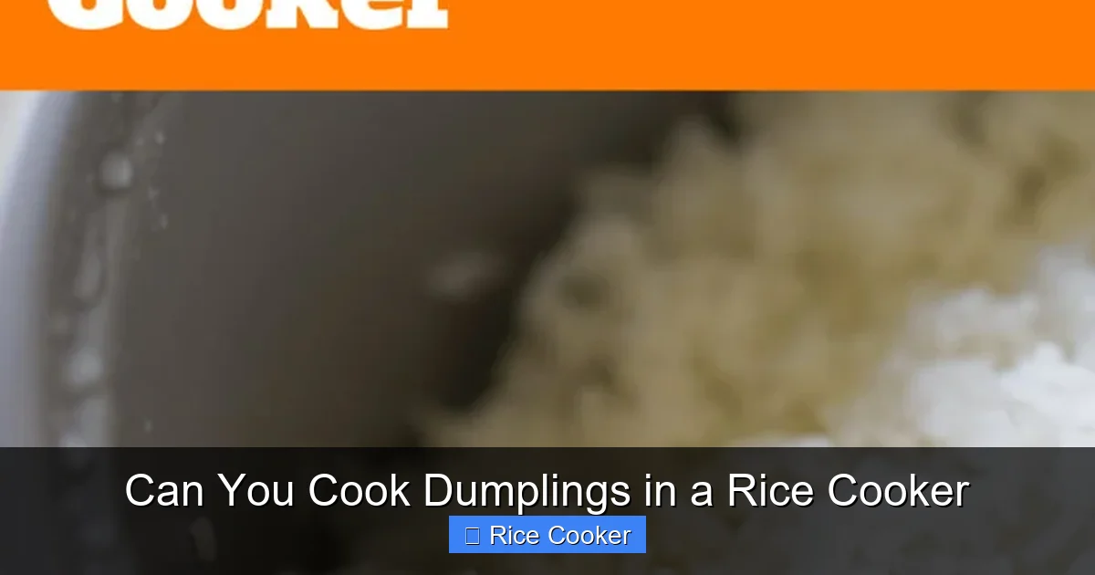 Can You Cook Dumplings in a Rice Cooker