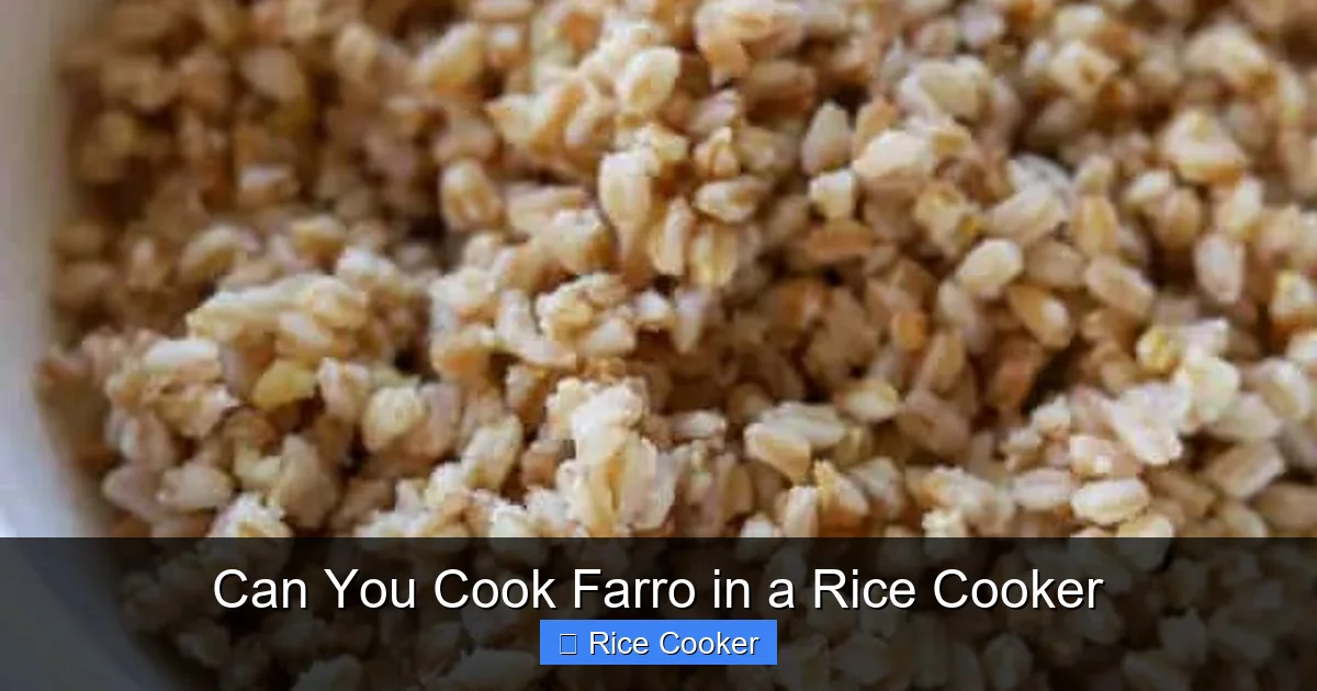 Can You Cook Farro in a Rice Cooker