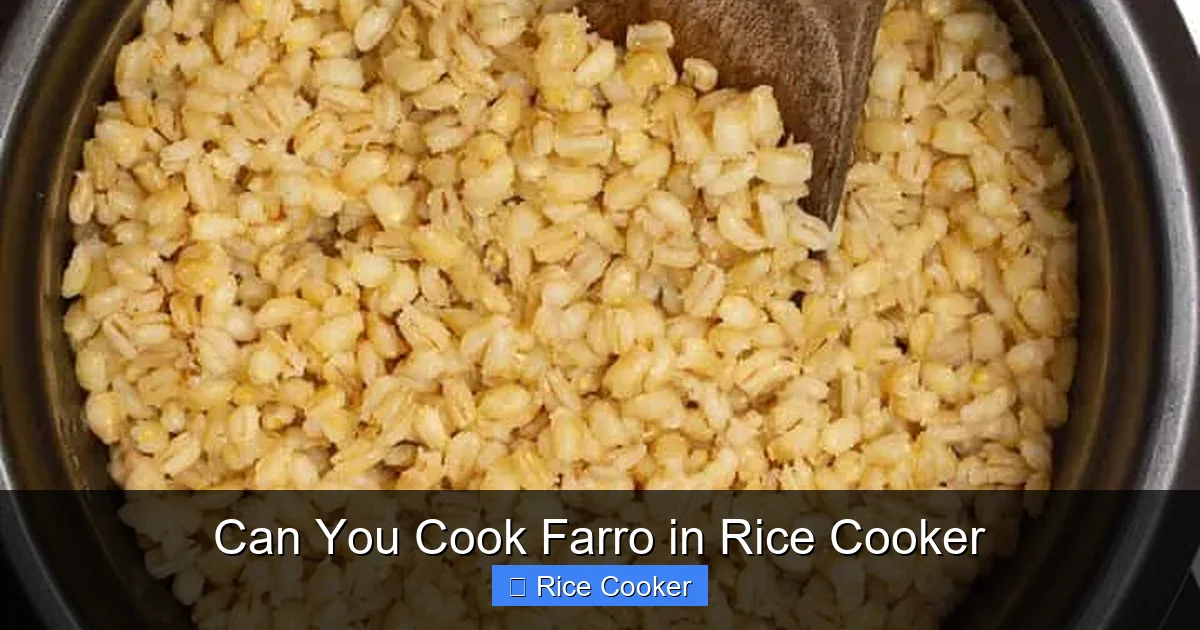 Can You Cook Farro in Rice Cooker