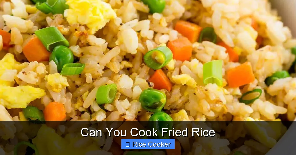 Can You Cook Fried Rice