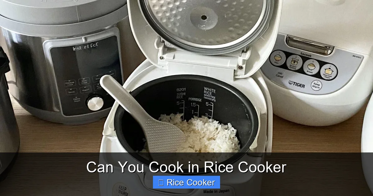 Can You Cook in Rice Cooker