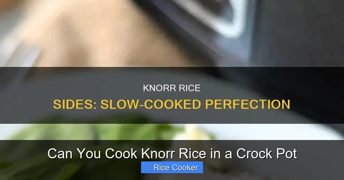 Can You Cook Knorr Rice in a Crock Pot