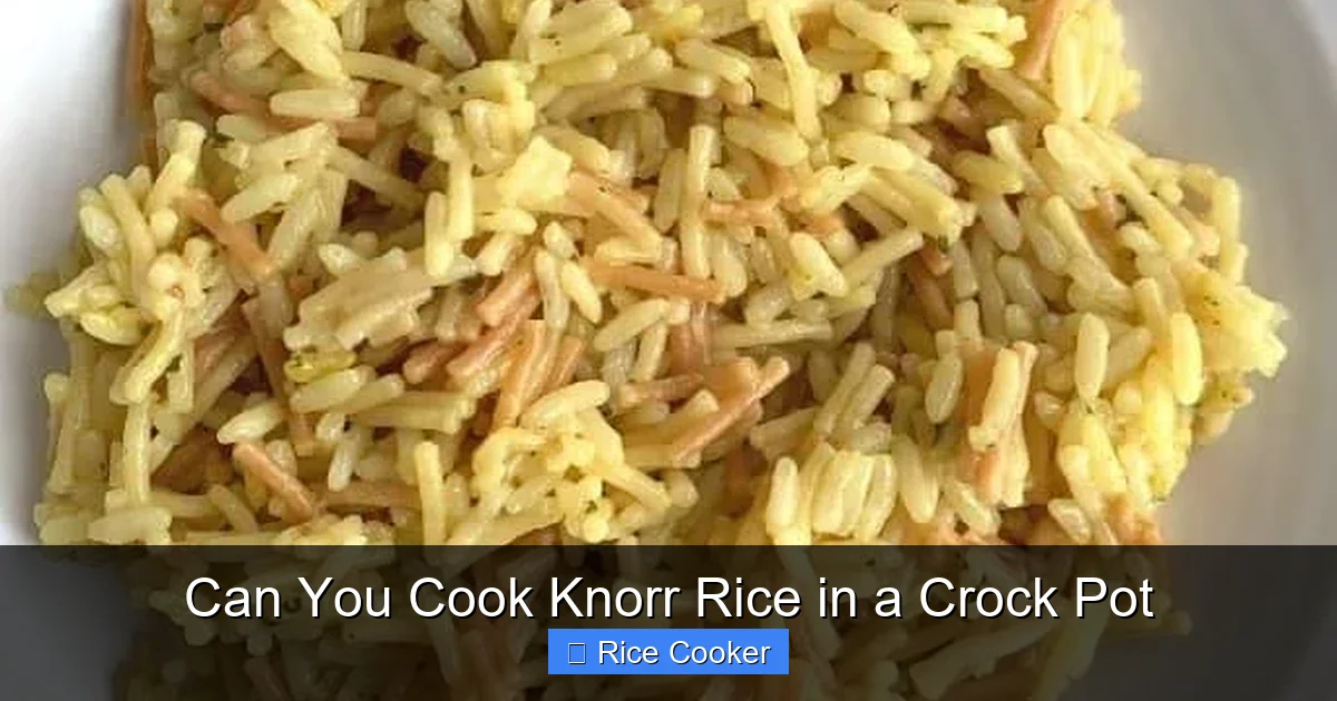 Can You Cook Knorr Rice in a Crock Pot