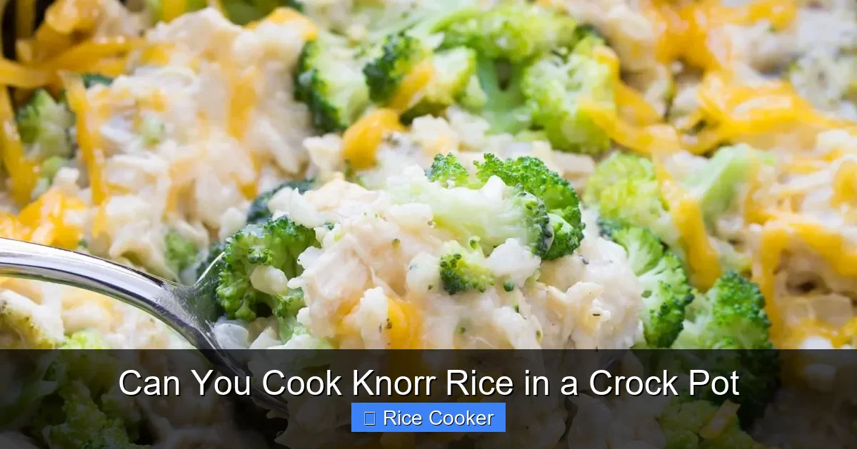 Can You Cook Knorr Rice in a Crock Pot