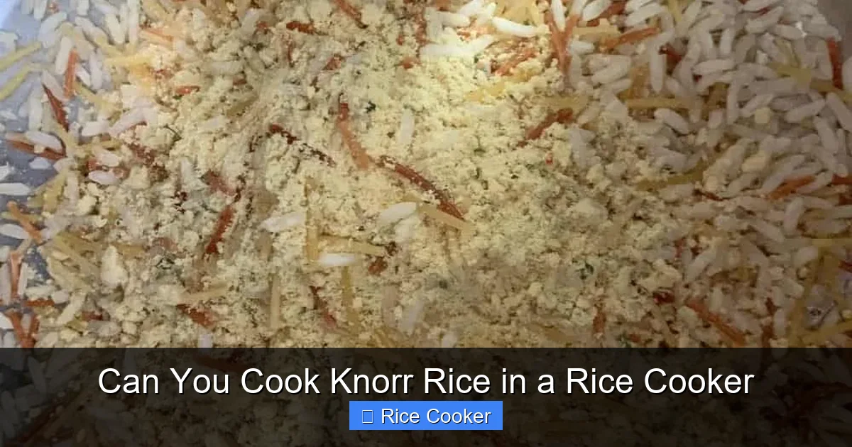 Can You Cook Knorr Rice in a Rice Cooker