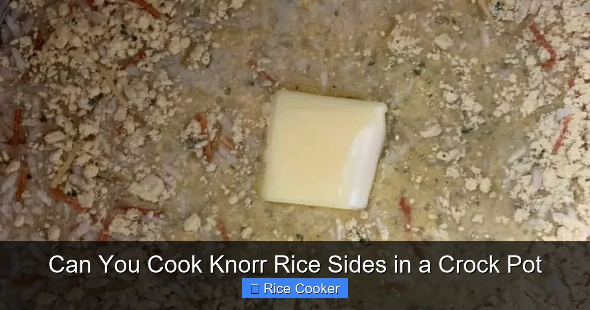 Can You Cook Knorr Rice Sides in a Crock Pot