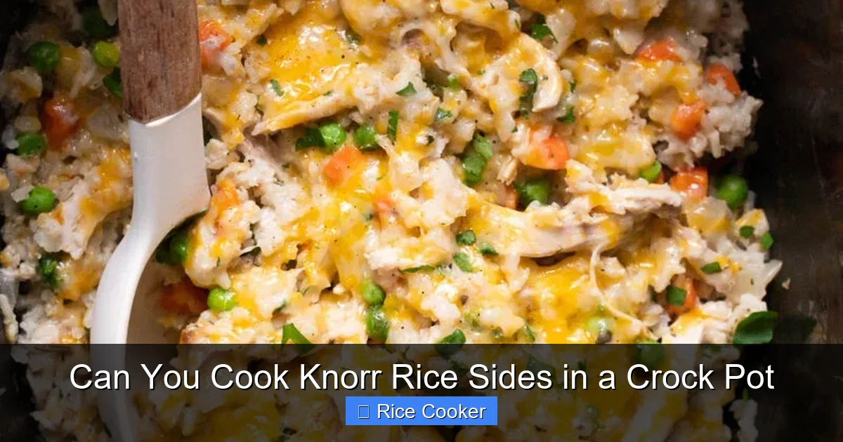 Can You Cook Knorr Rice Sides in a Crock Pot