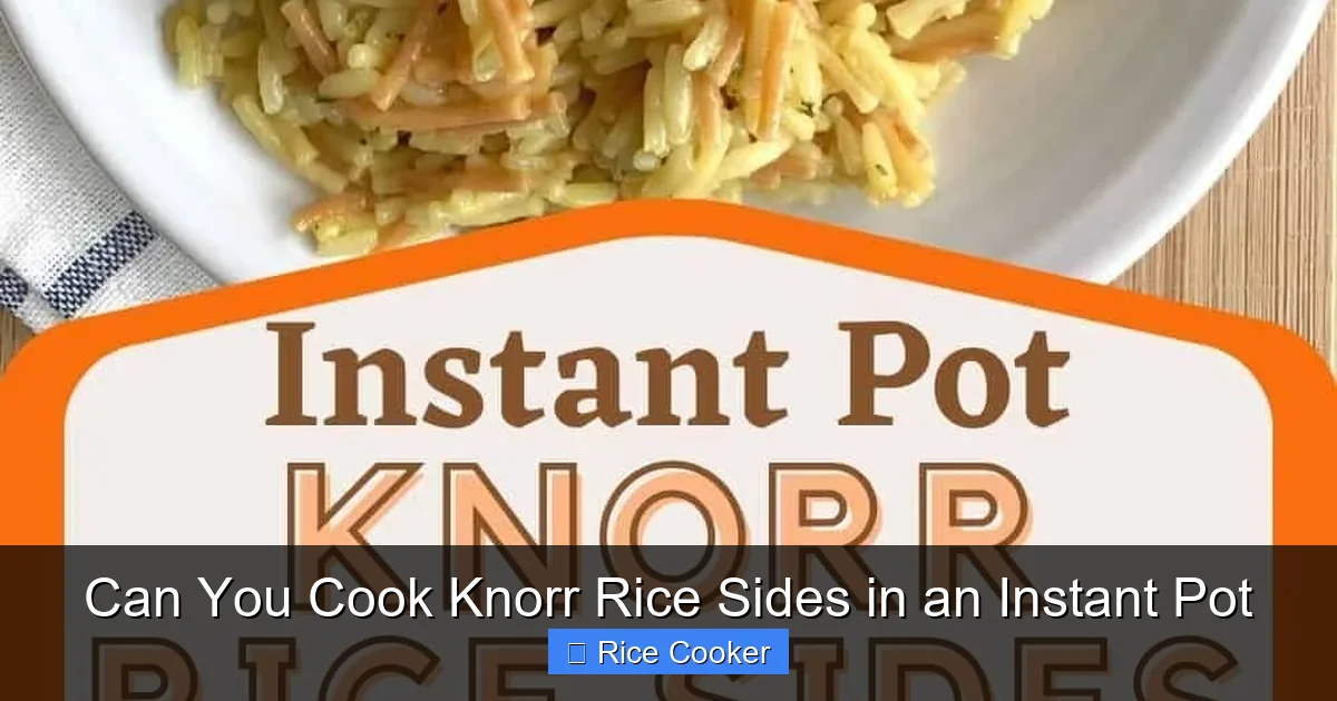 Can You Cook Knorr Rice Sides in an Instant Pot