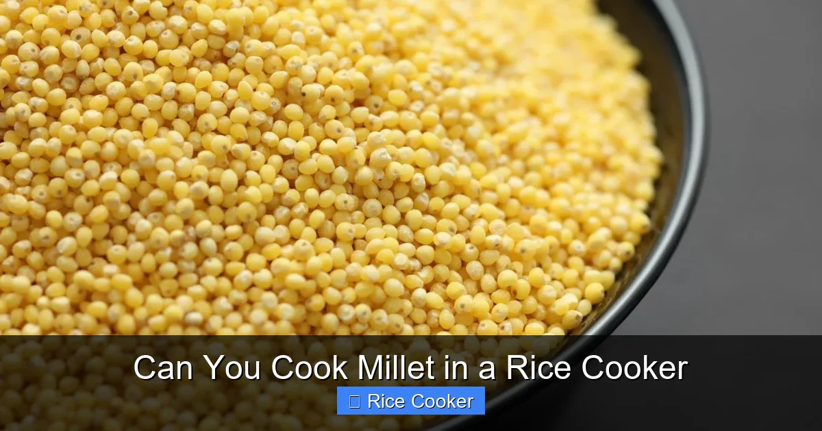 Can You Cook Millet in a Rice Cooker
