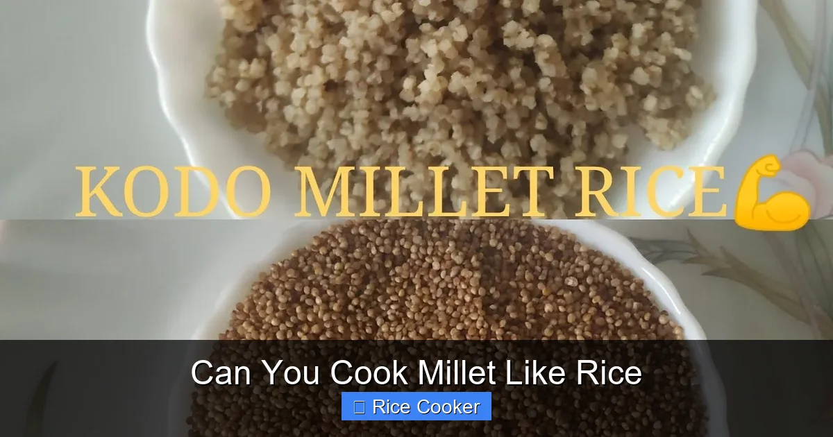 Can You Cook Millet Like Rice