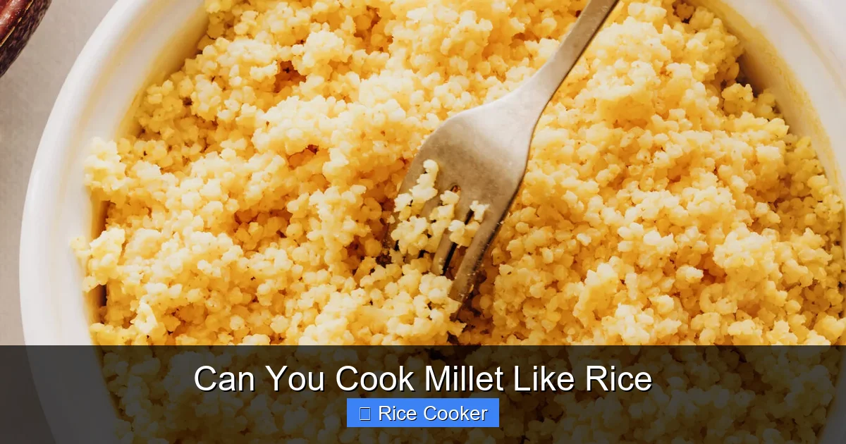 Can You Cook Millet Like Rice