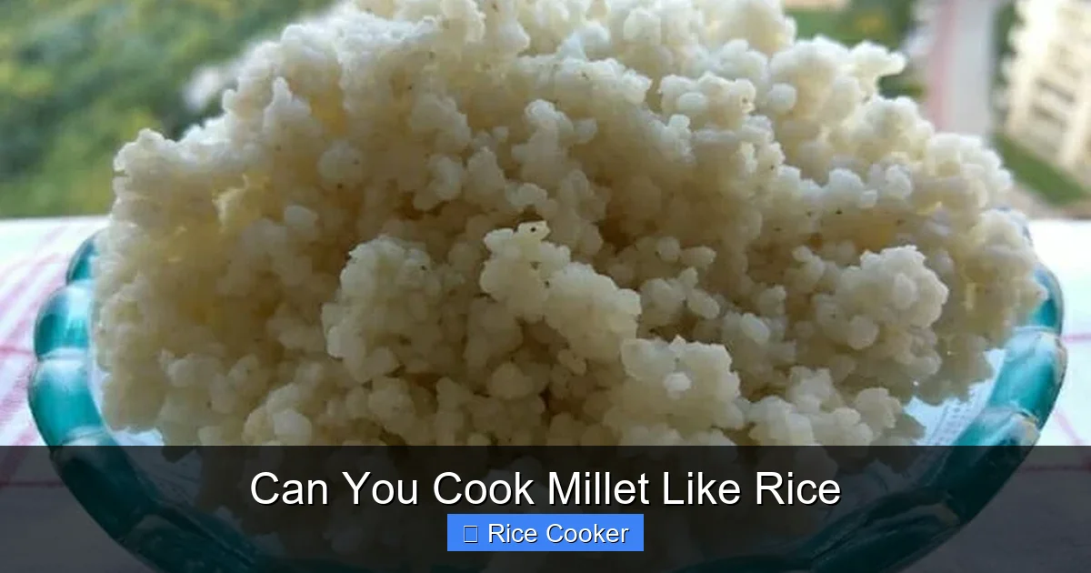Can You Cook Millet Like Rice