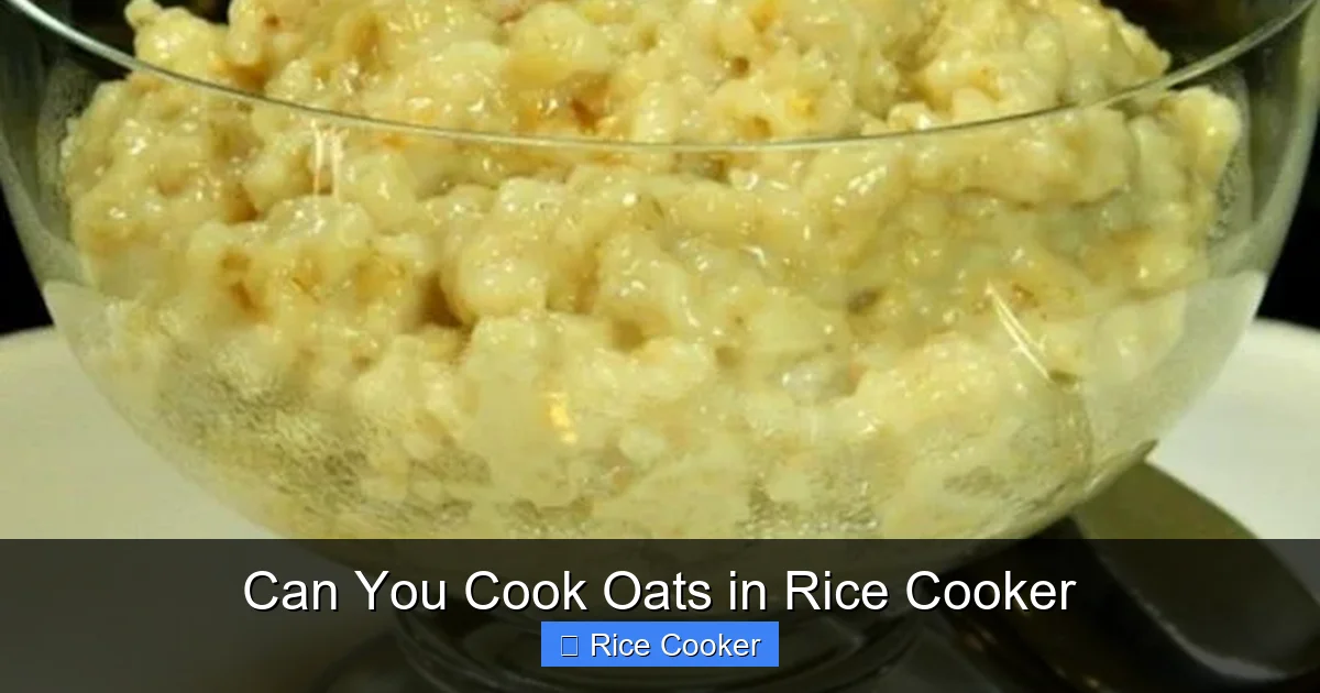 Can You Cook Oats in Rice Cooker