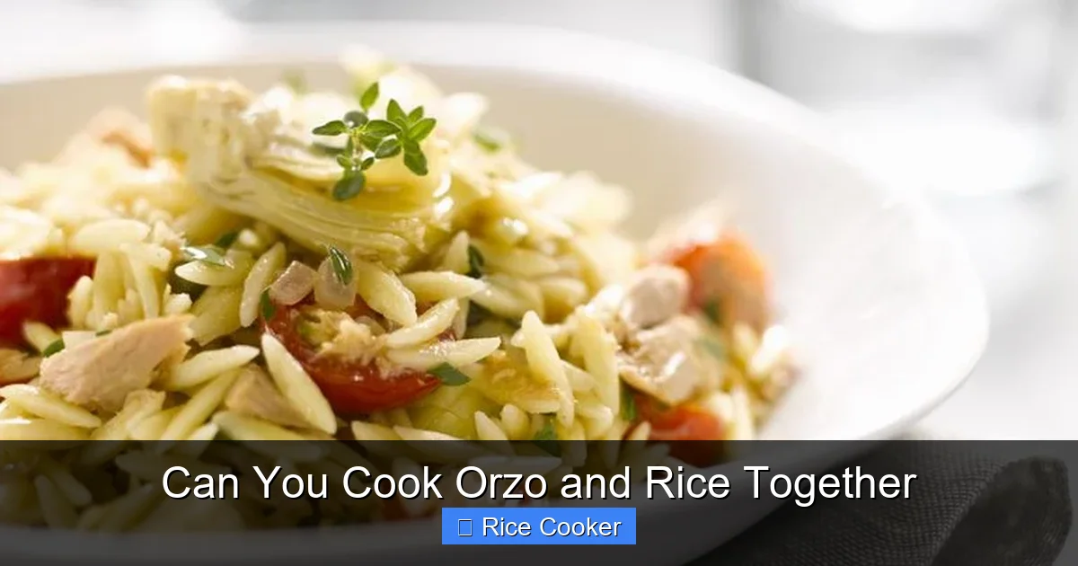 Can You Cook Orzo and Rice Together