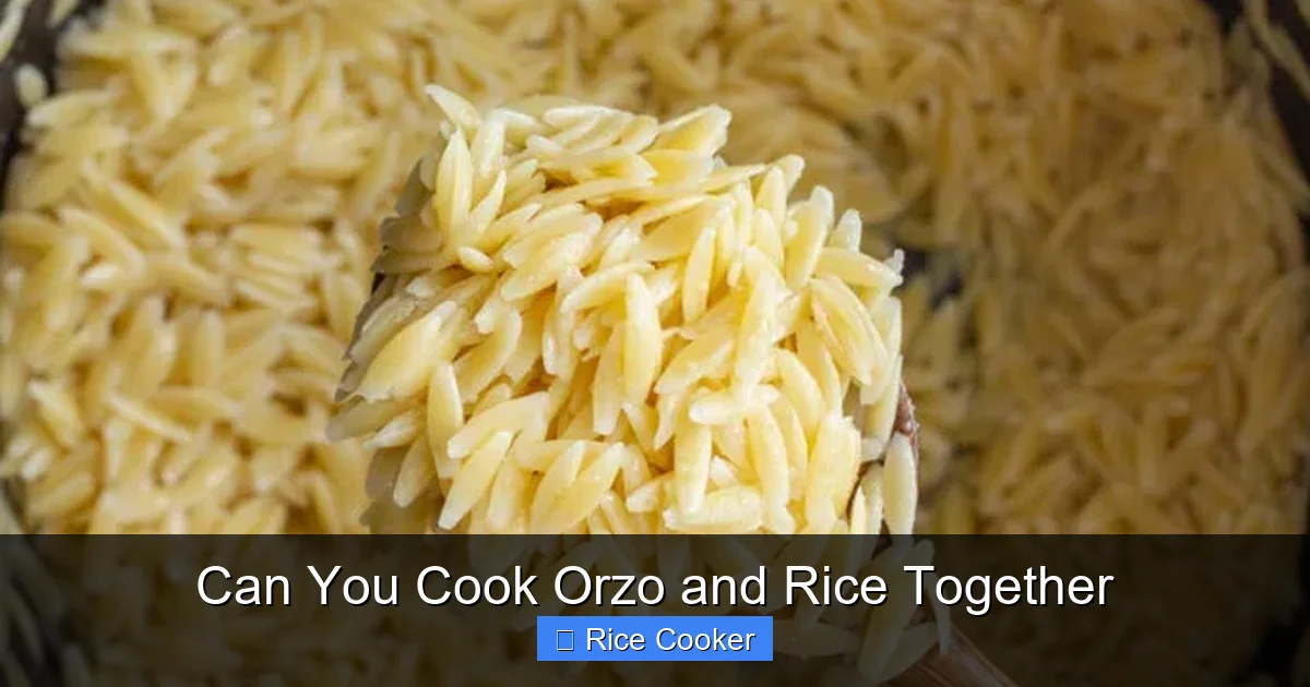 Can You Cook Orzo and Rice Together