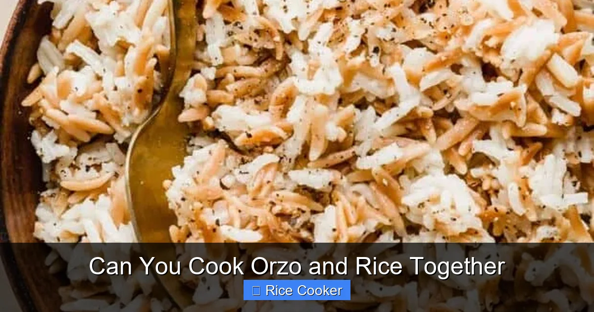 Can You Cook Orzo and Rice Together