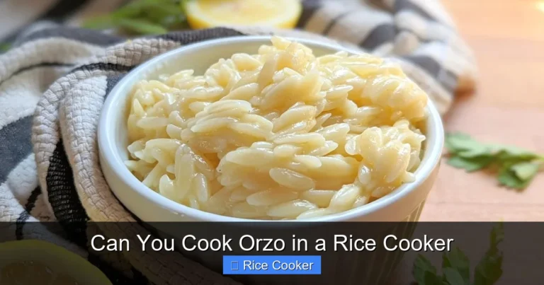Can You Cook Orzo in a Rice Cooker