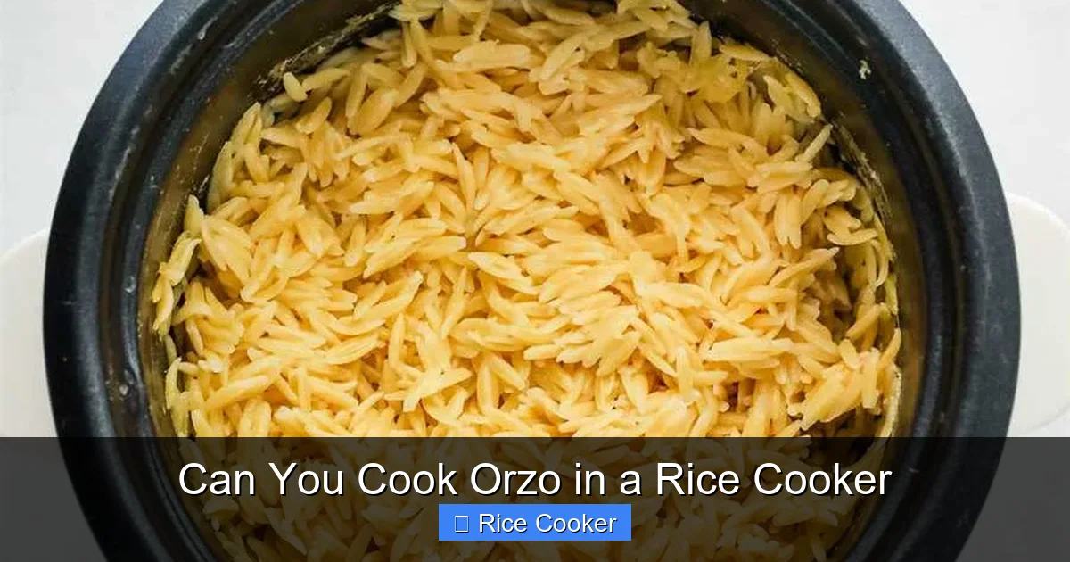 Can You Cook Orzo in a Rice Cooker