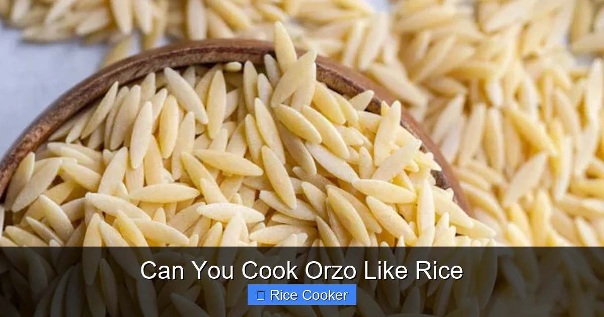Can You Cook Orzo Like Rice
