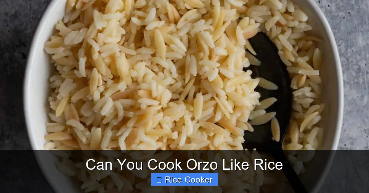Can You Cook Orzo Like Rice