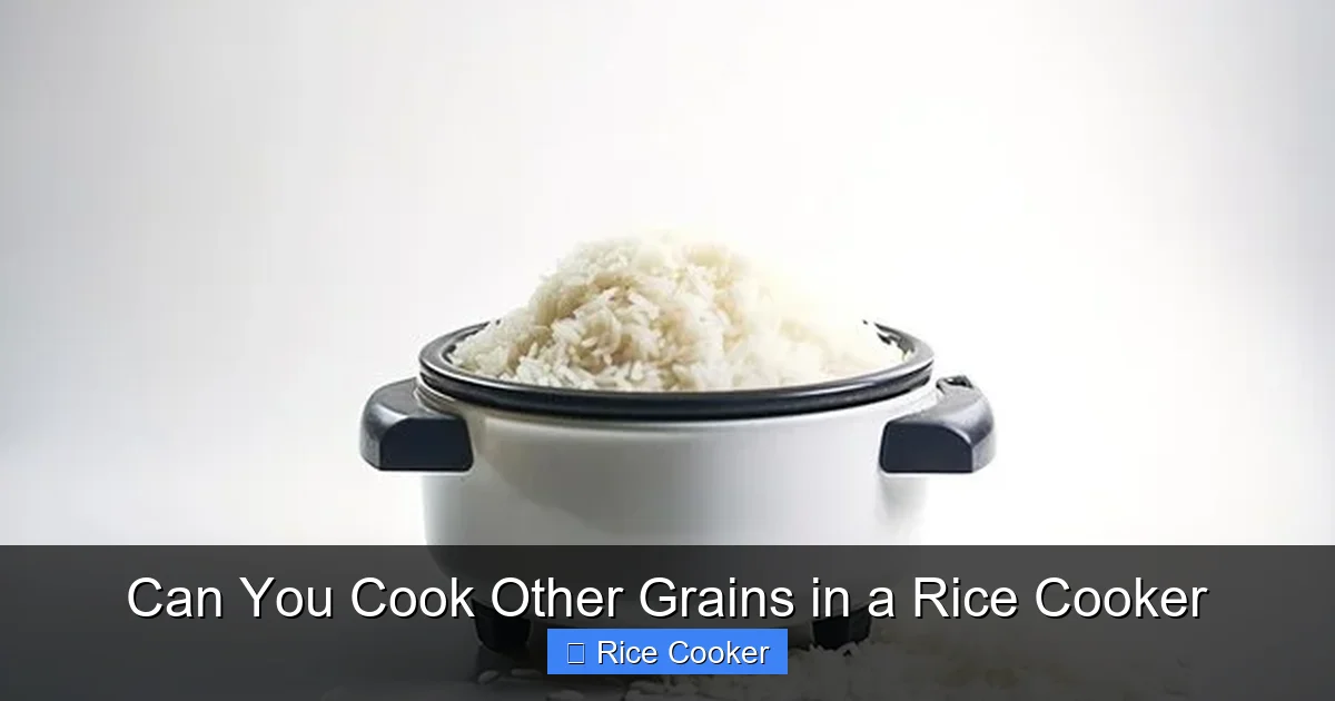 Can You Cook Other Grains in a Rice Cooker