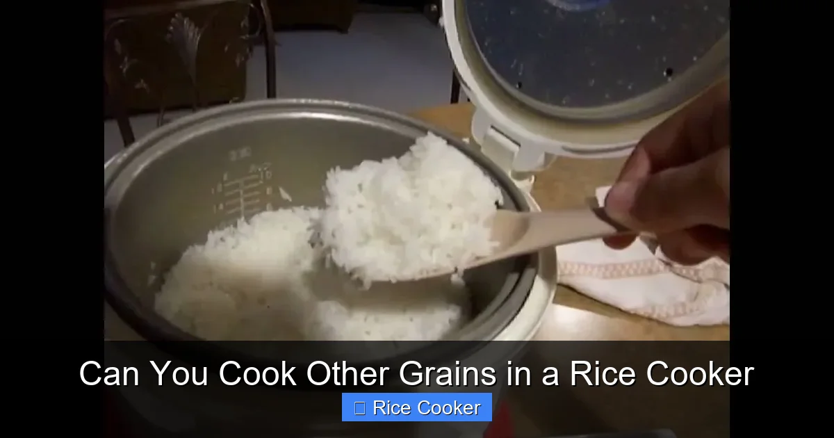 Can You Cook Other Grains in a Rice Cooker