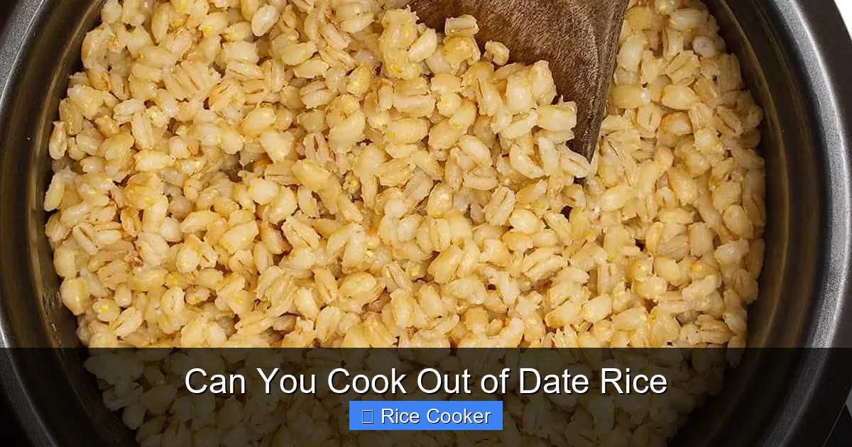 Can You Cook Out of Date Rice