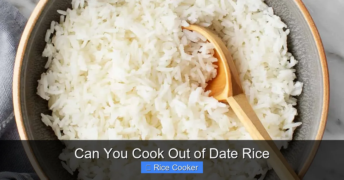 Can You Cook Out of Date Rice