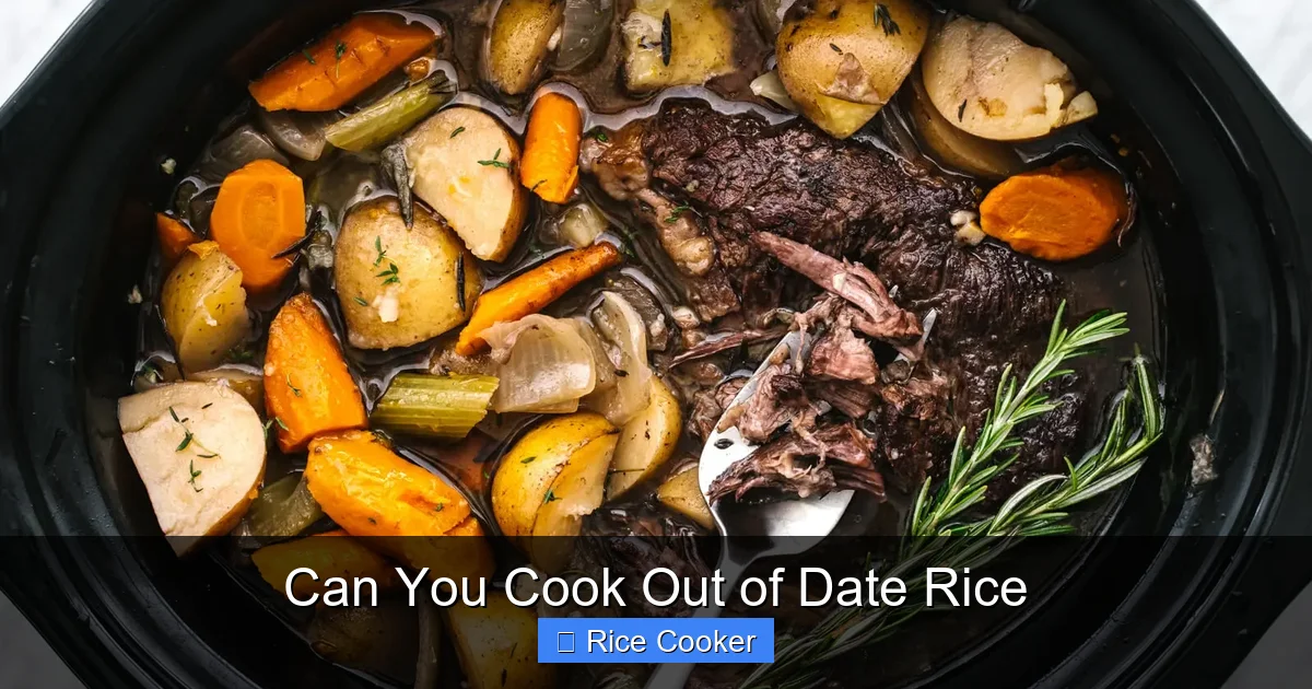 Can You Cook Out of Date Rice