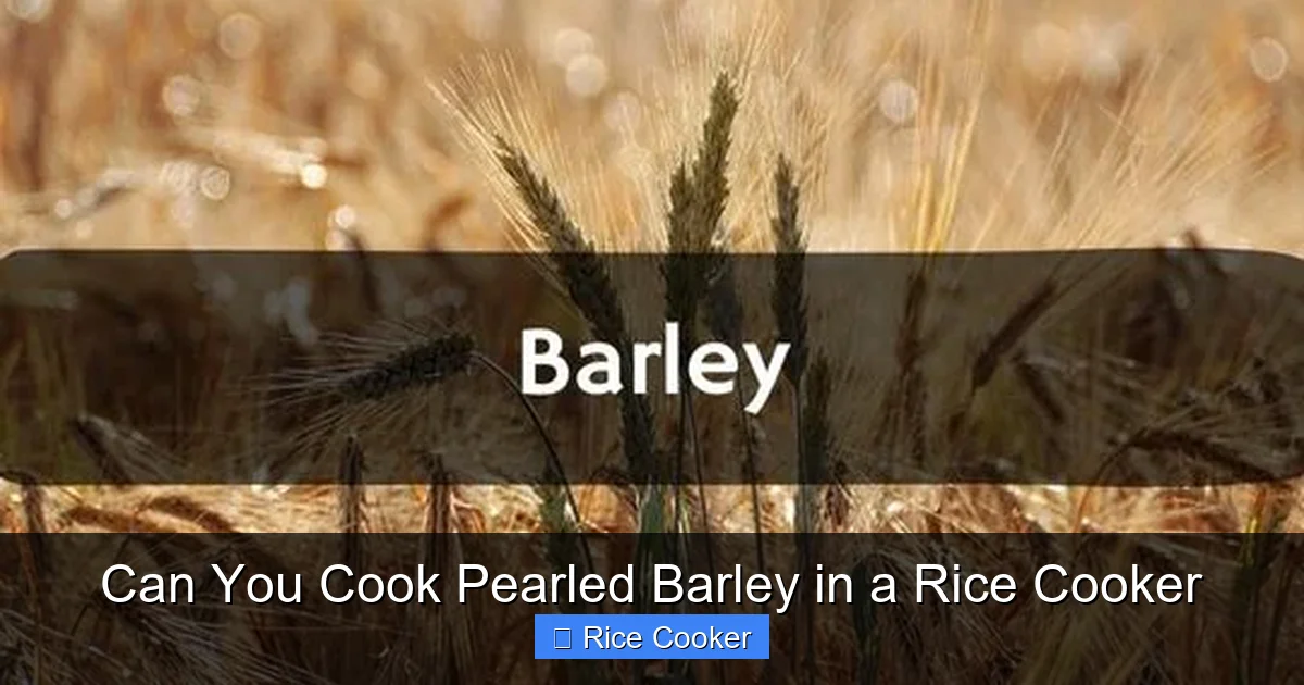 Can You Cook Pearled Barley in a Rice Cooker