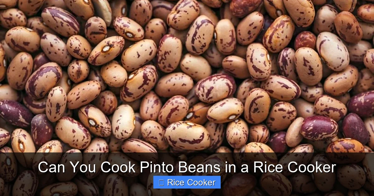 Can You Cook Pinto Beans in a Rice Cooker
