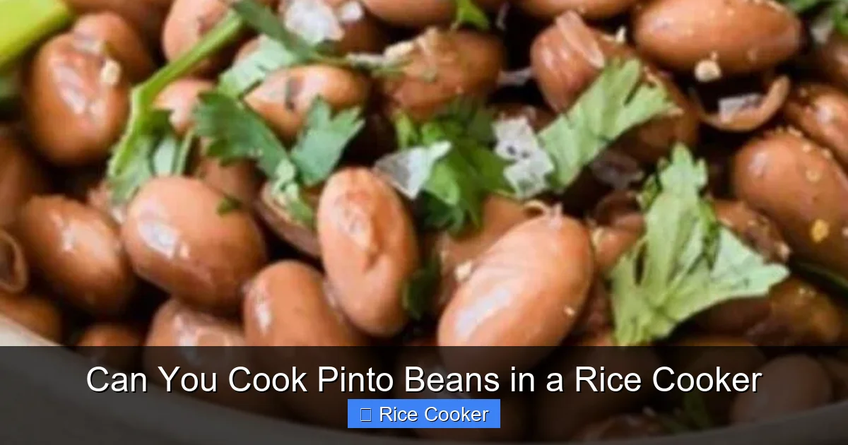 Can You Cook Pinto Beans in a Rice Cooker