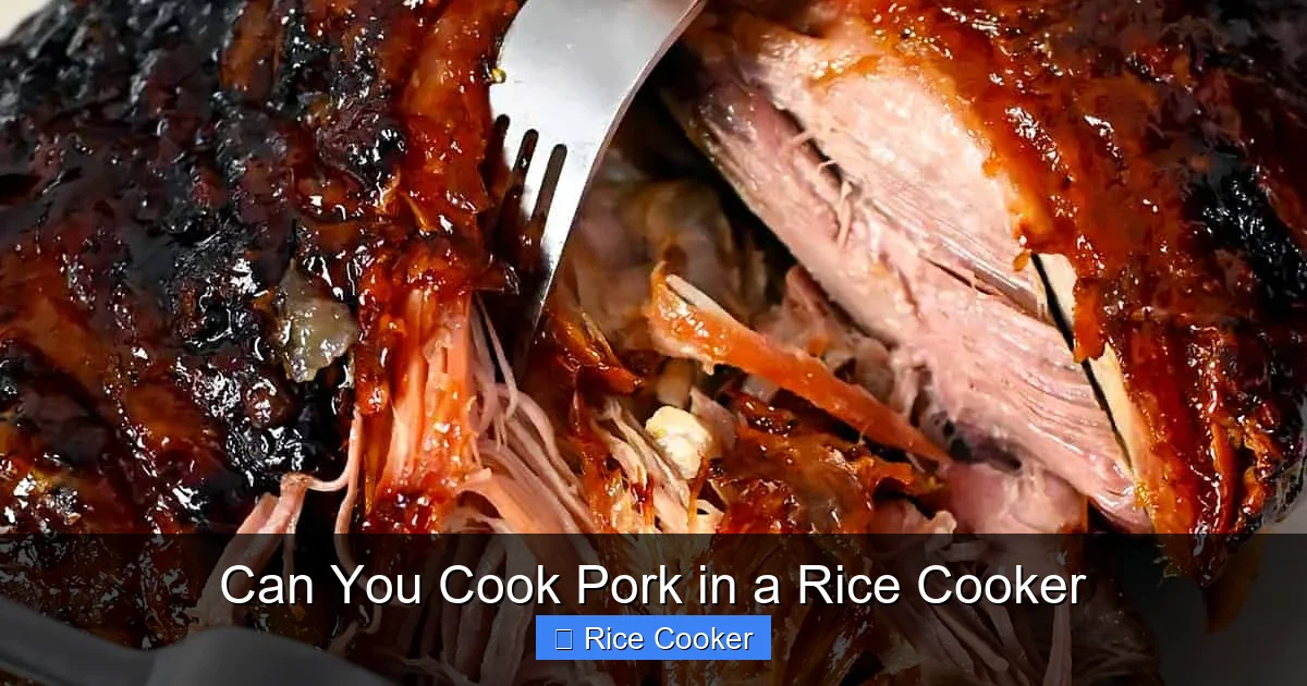 Can You Cook Pork in a Rice Cooker