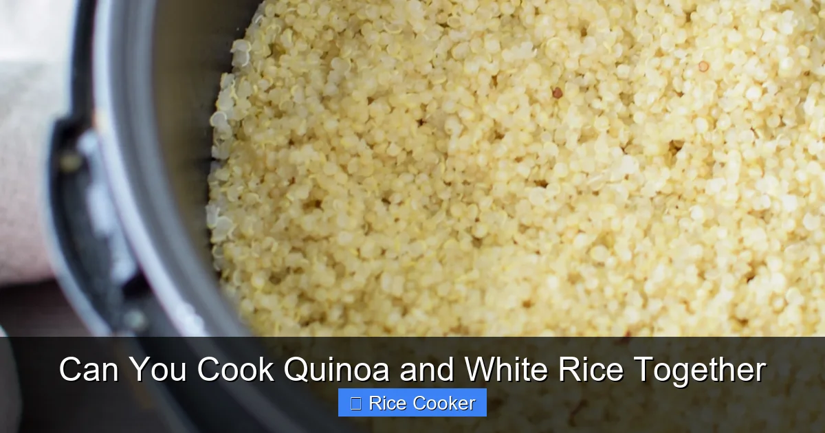 Can You Cook Quinoa and White Rice Together