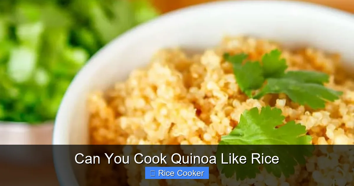 Can You Cook Quinoa Like Rice