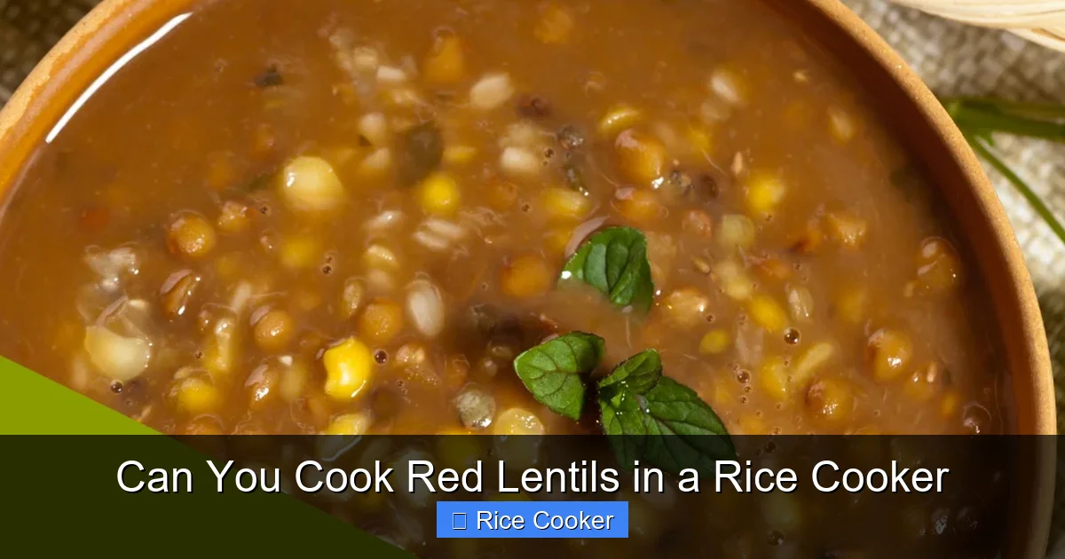 Can You Cook Red Lentils in a Rice Cooker