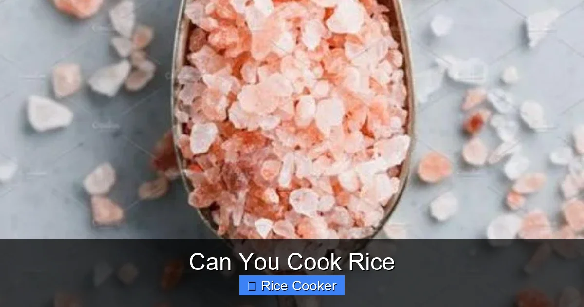 Can You Cook Rice