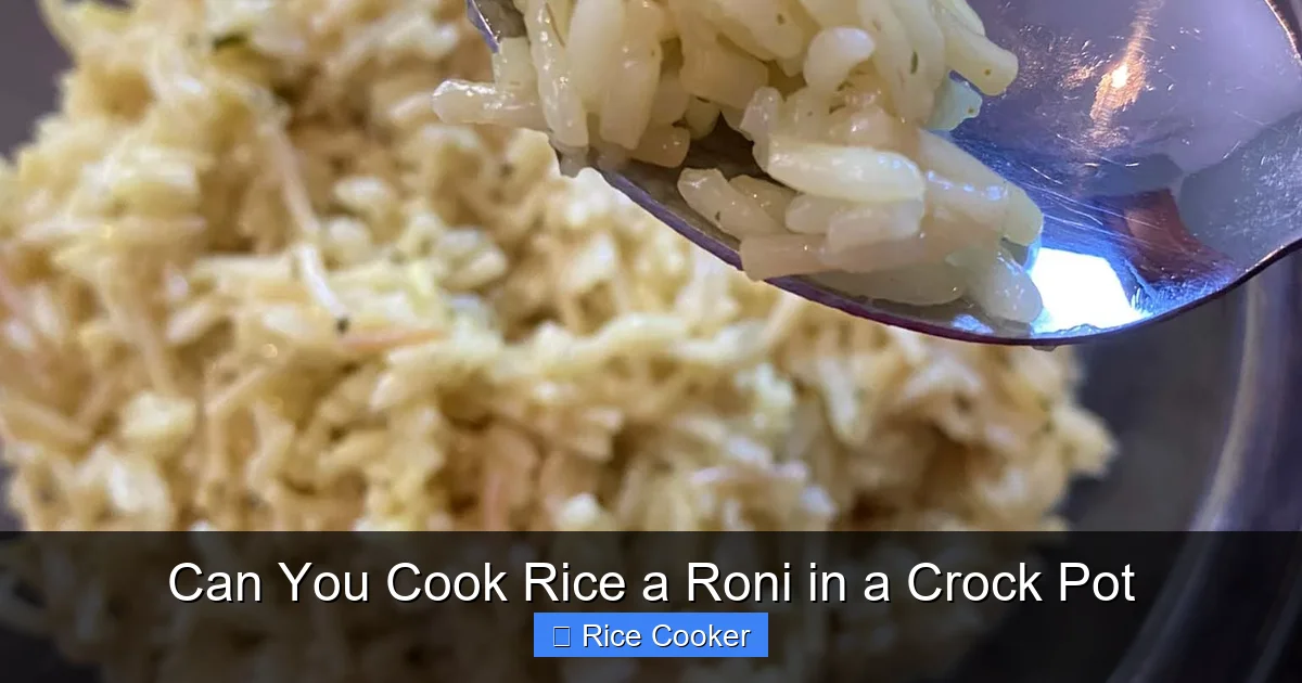 Can You Cook Rice a Roni in a Crock Pot