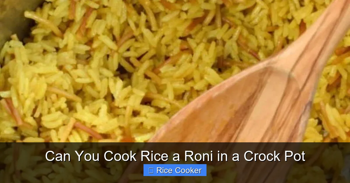 Can You Cook Rice a Roni in a Crock Pot