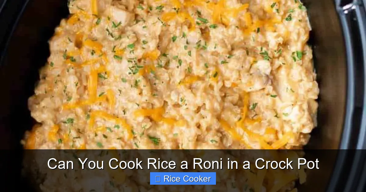 Can You Cook Rice a Roni in a Crock Pot